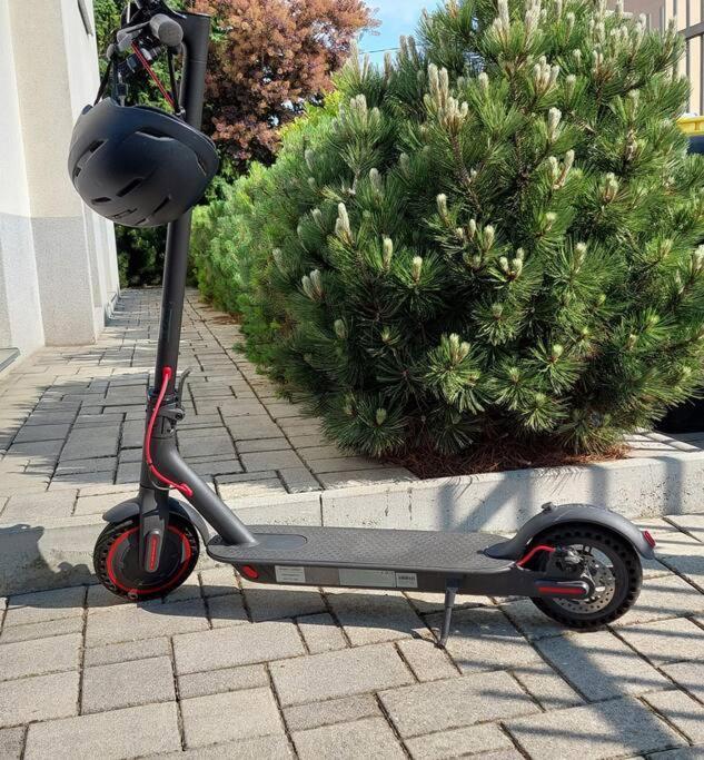 City Lodge Pine, Free Parking Laibach Exterior foto